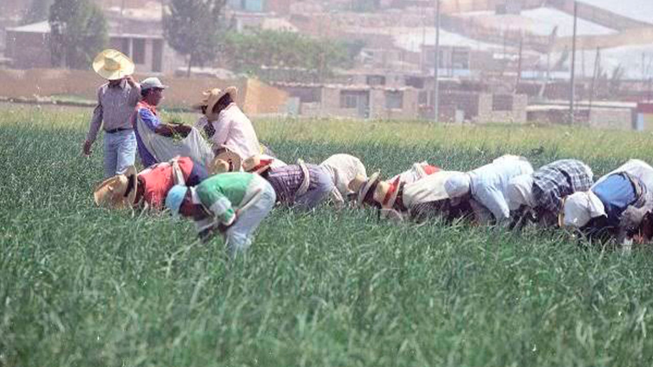 Crisis por falta de recurso hídrico llega a La Joya