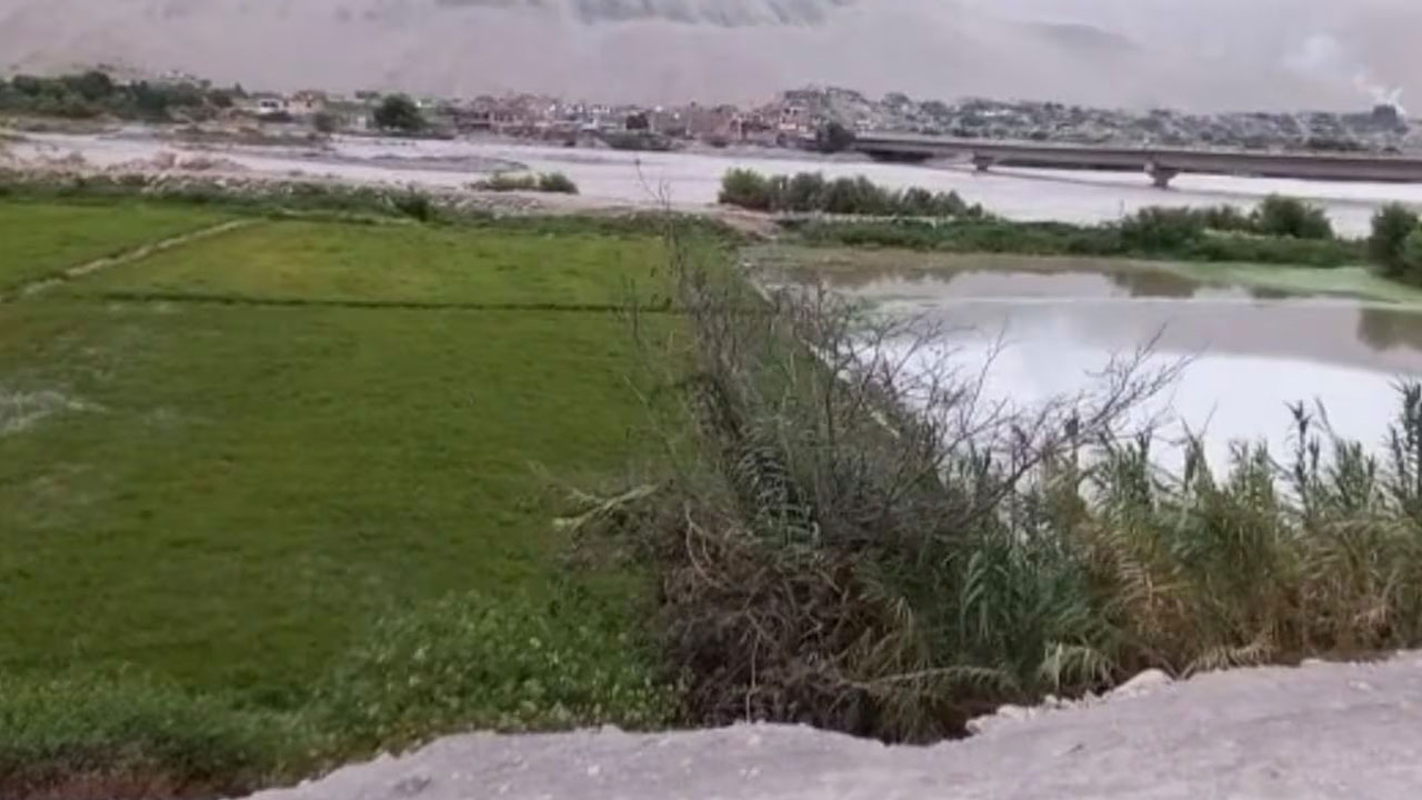 Más de 50 hectáreas de cultivo de arroz afectados en valle de Camaná