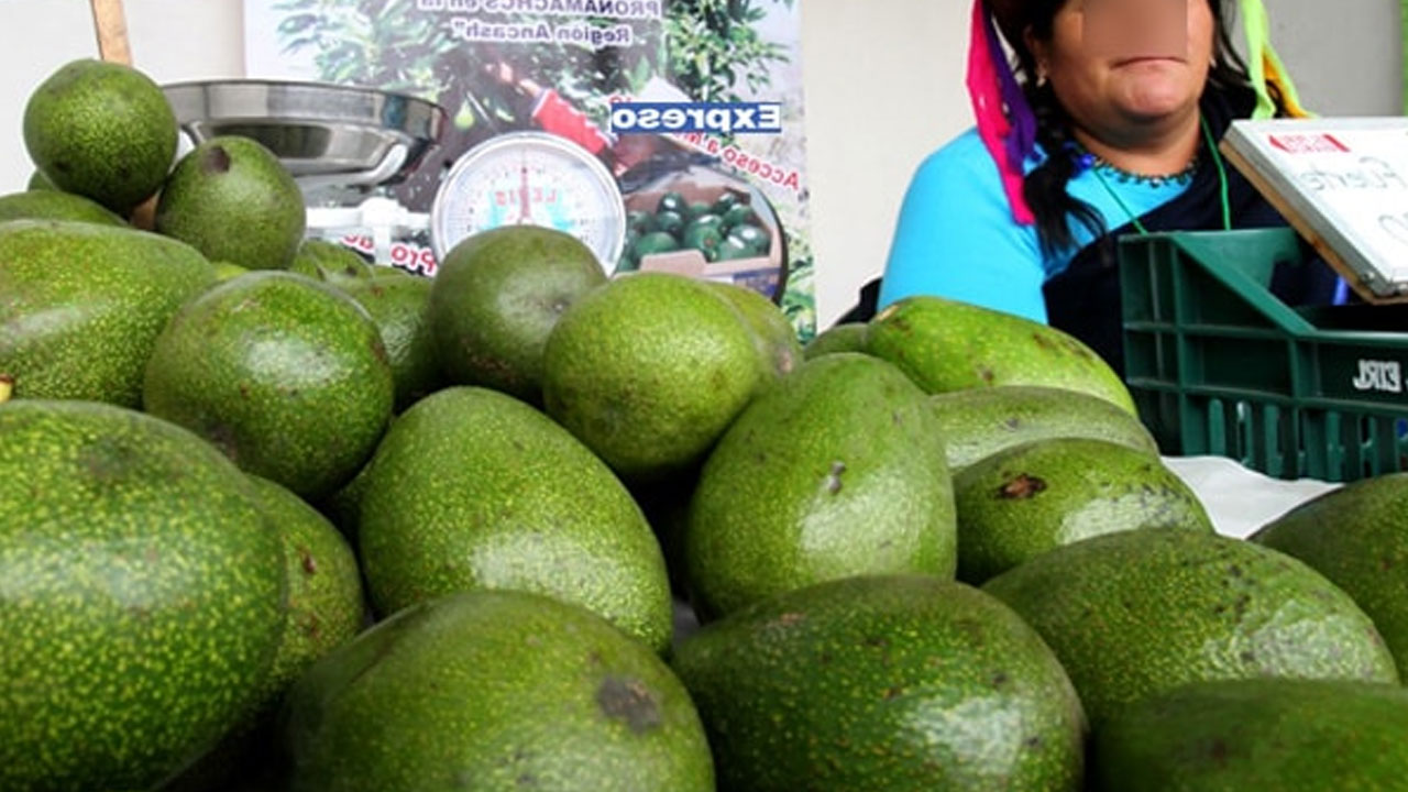 Senamhi alerta impacto del calor extremo en cultivos de Tacna y Moquegua