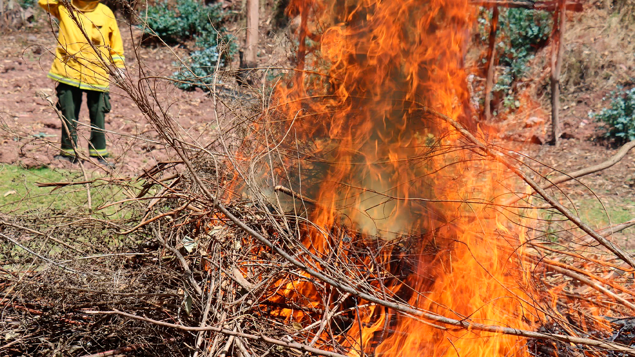 Incendios forestales dejan seis fallecidos en Cusco