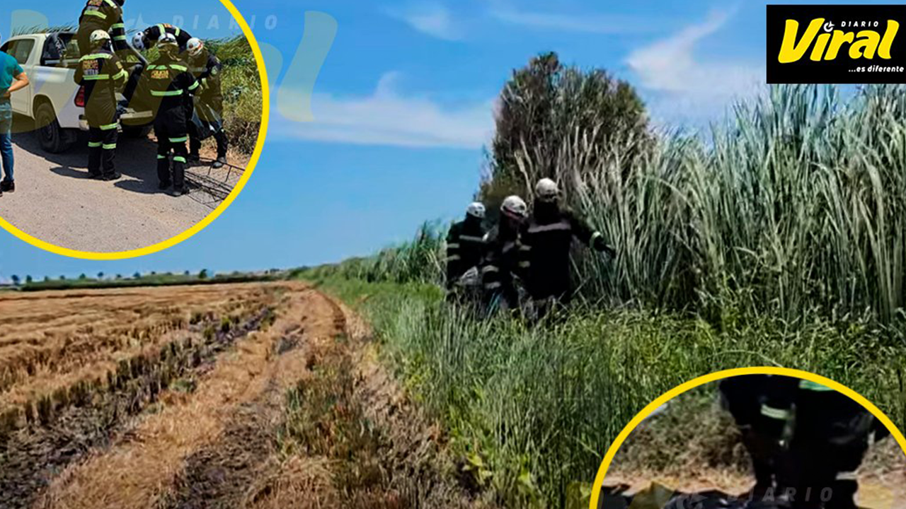 Hallan cadáver con posibles signos de homicidio en chacras de Camaná