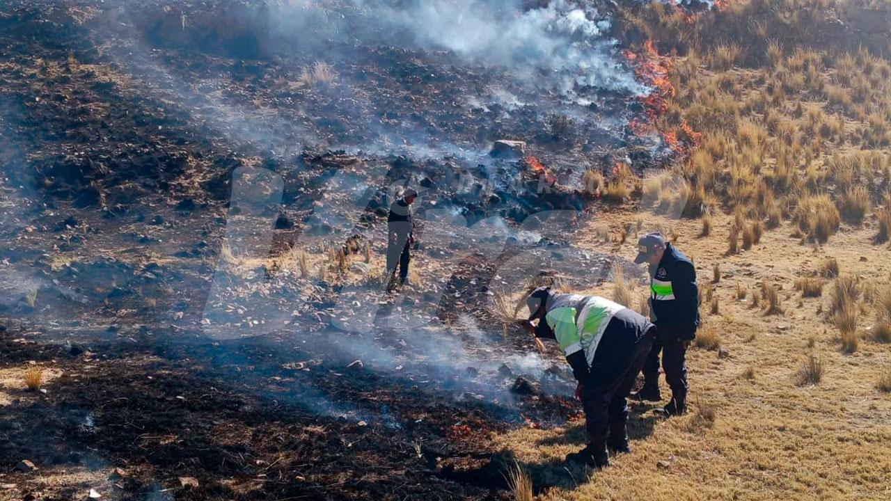Incendios dañan más de 1500 hectáreas en Puno