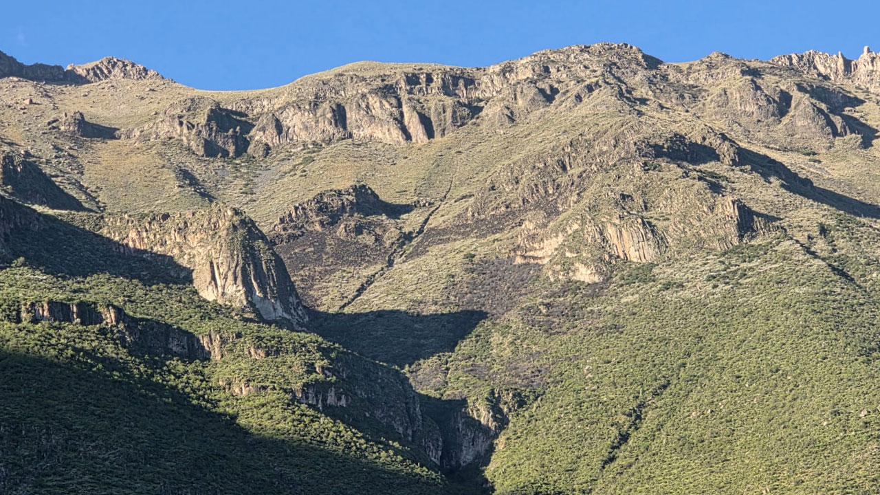 Liquidan incendio forestal en Alca