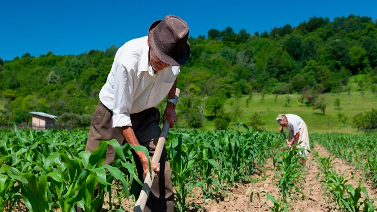 Productores piden declarar en emergencia al agro en Arequipa por pérdidas de más de 3600 hectáreas