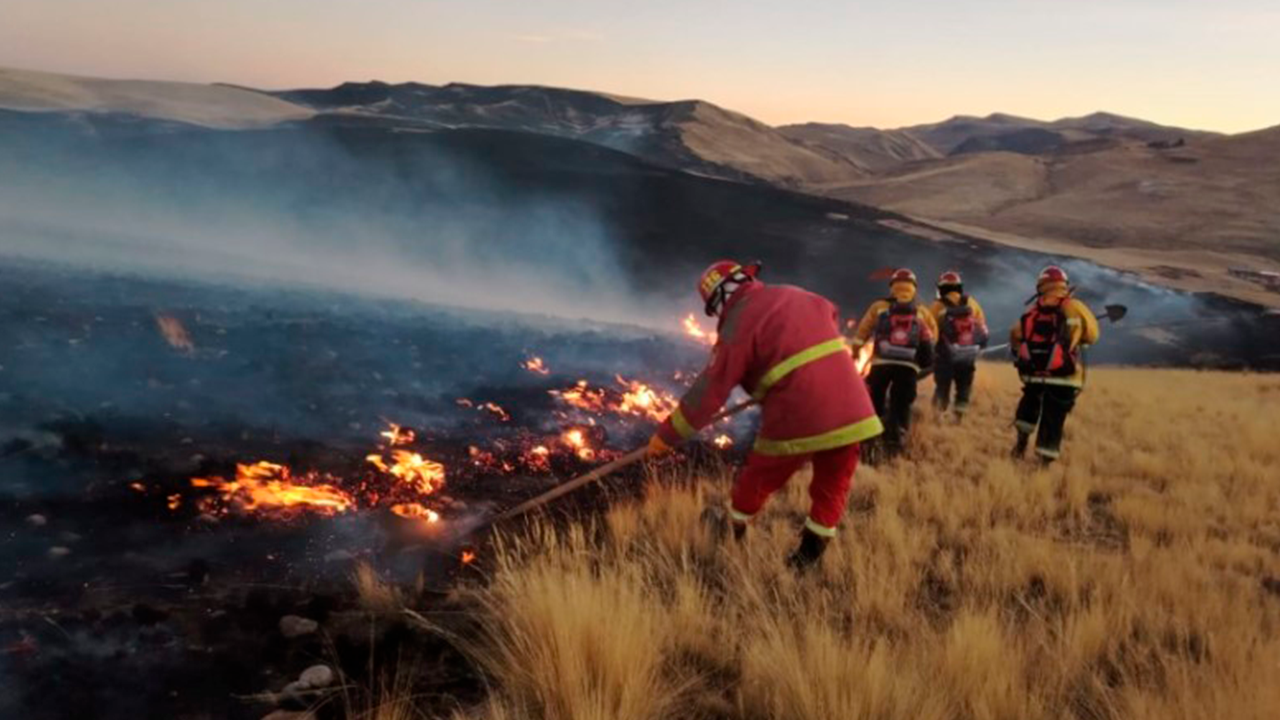 Incendios forestales en Cusco dejan cinco fallecidos