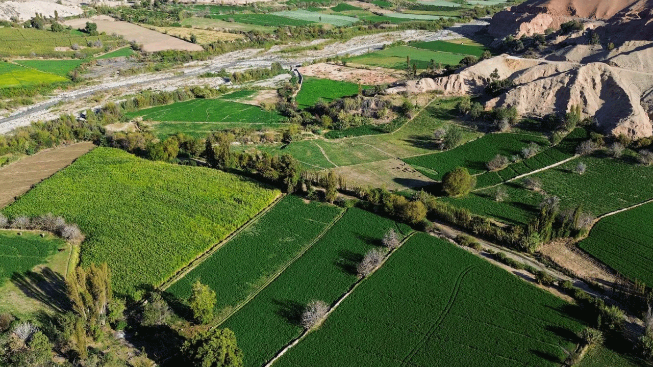 Autodema niega reducción de agua para agricultores de Majes