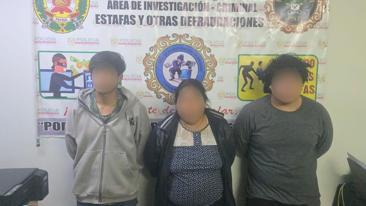 Desarticulan banda dedicada a estafas por internet