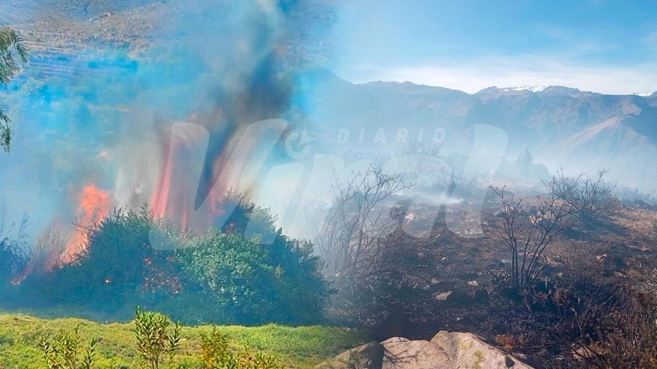 Incendios forestales continúan activos en la región