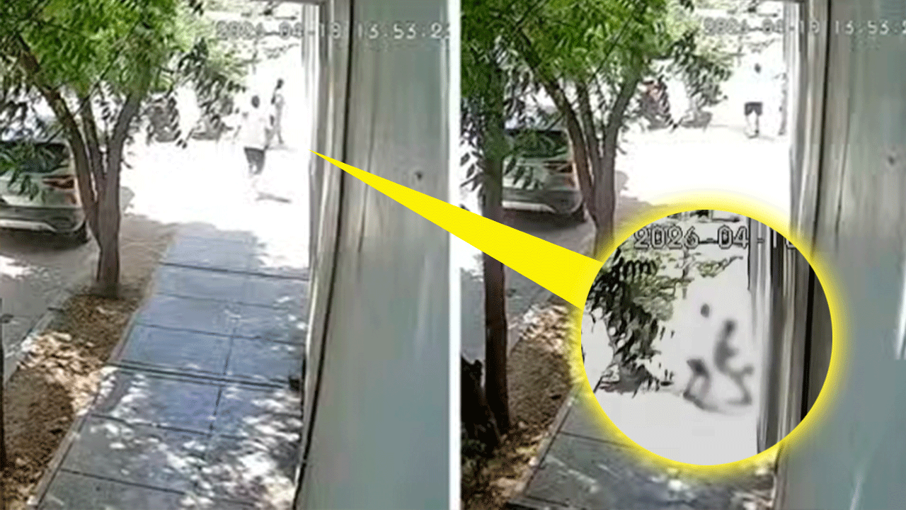 Crimen en Piura: investigan asesinato de médica pediatra y señalan a su pareja como presunto autor intelectual