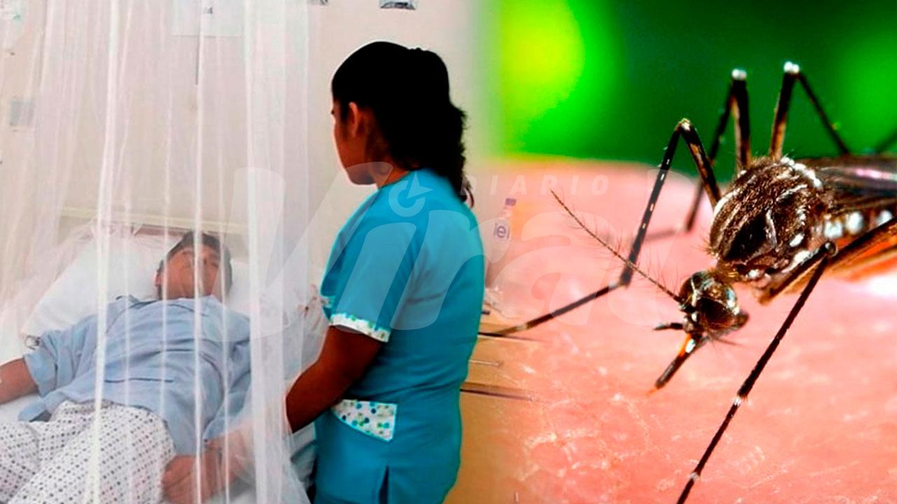 Dengue aumenta 79 % en Perú y Minsa alerta por calor