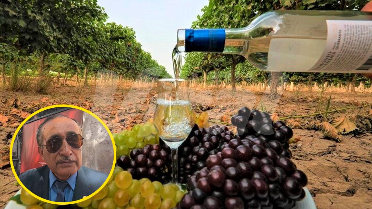 Pisco arequipeño enfrenta amenaza de falsificación
