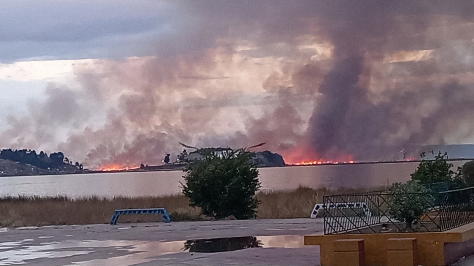 Incendio forestal en Puno consume 200 hectáreas y afecta hospedajes flotantes