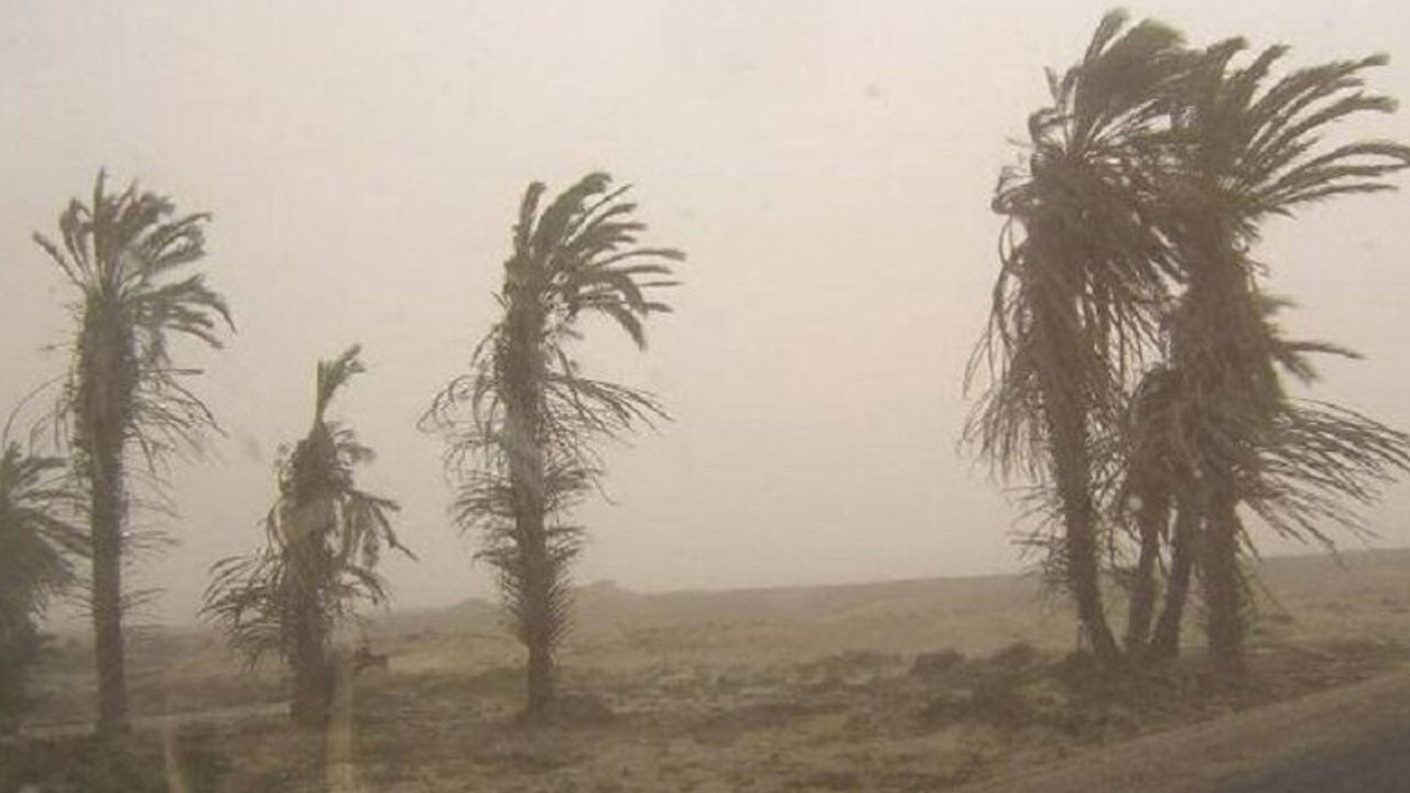 Alertan de fuertes vientos en la costa de Arequipa