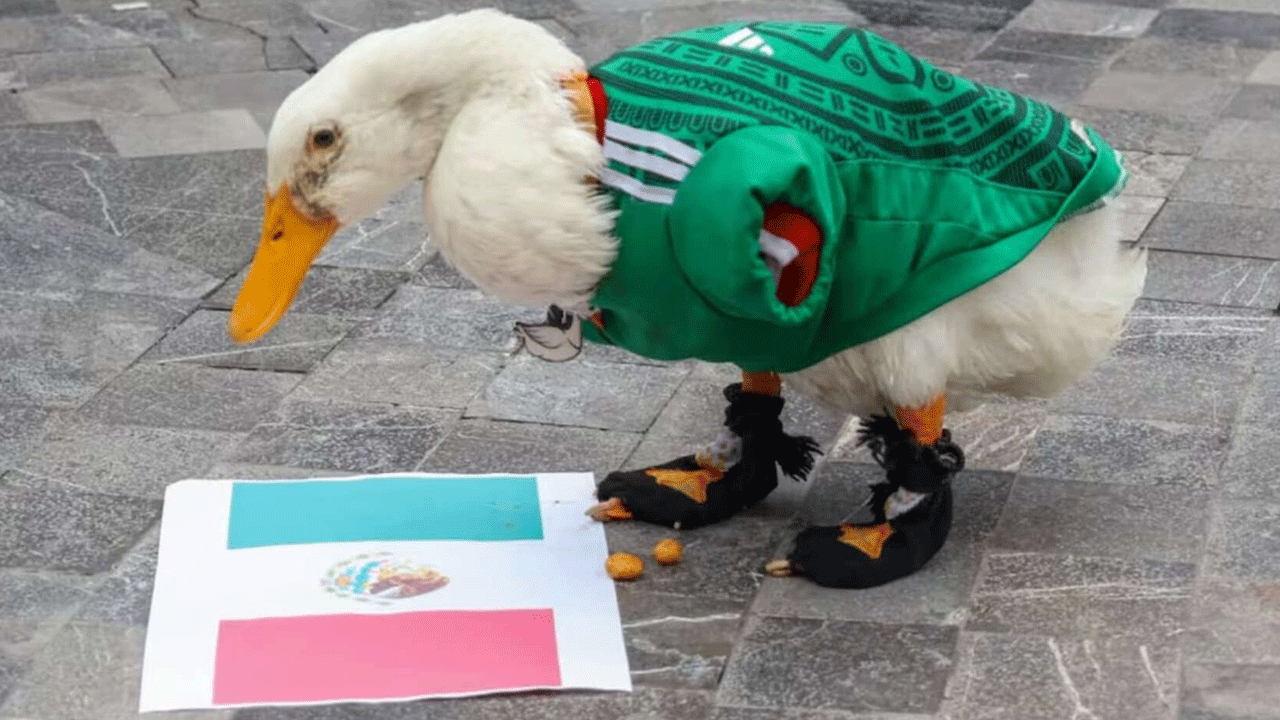 Pato Merlín conquista redes con corrido y conmueve por su historia