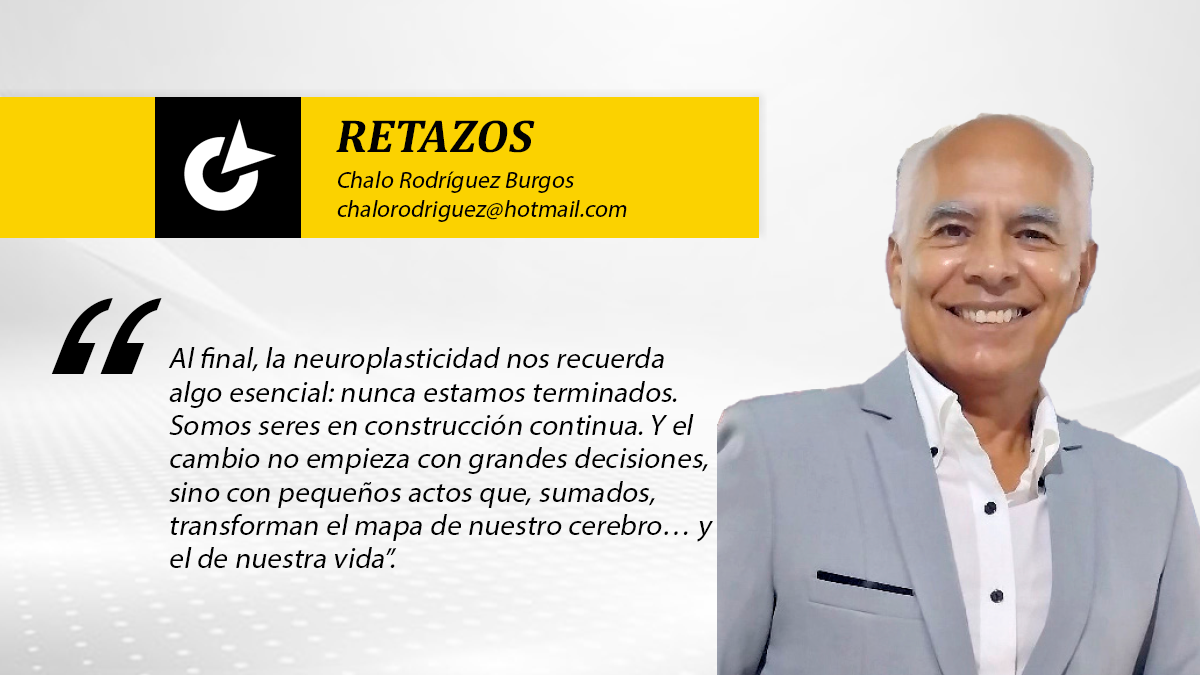 Neuroplasticidad: como el cerebro se rehace paso a paso