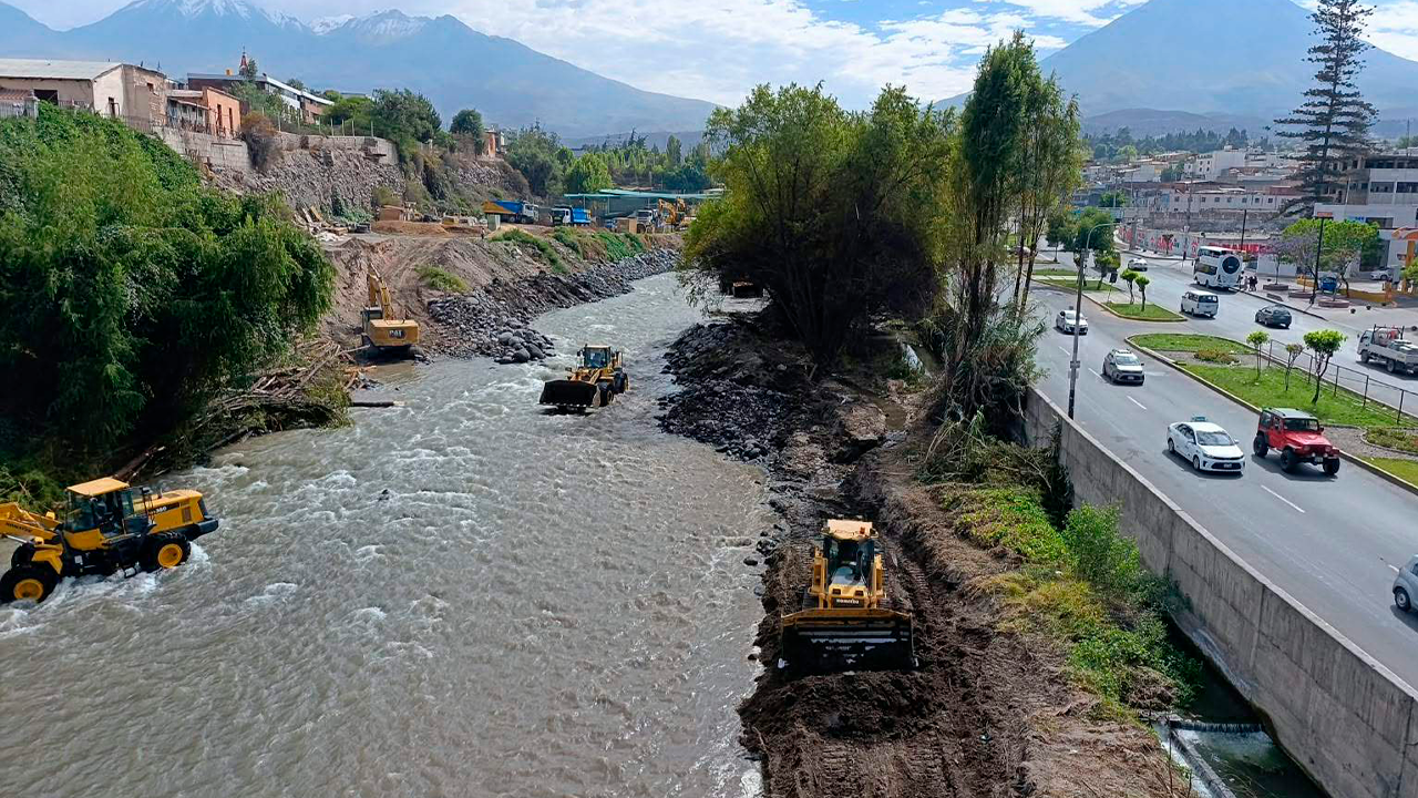 Arequipa: MPA autorizó retiro de 15 sauces del río Chili sin informar sobre permisos