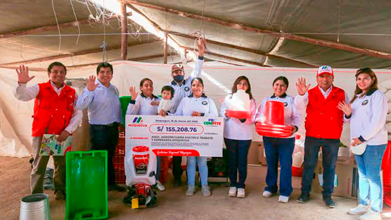 Procompite entrega equipos a productores avícolas de Moquegua para aumentar producción de pollo