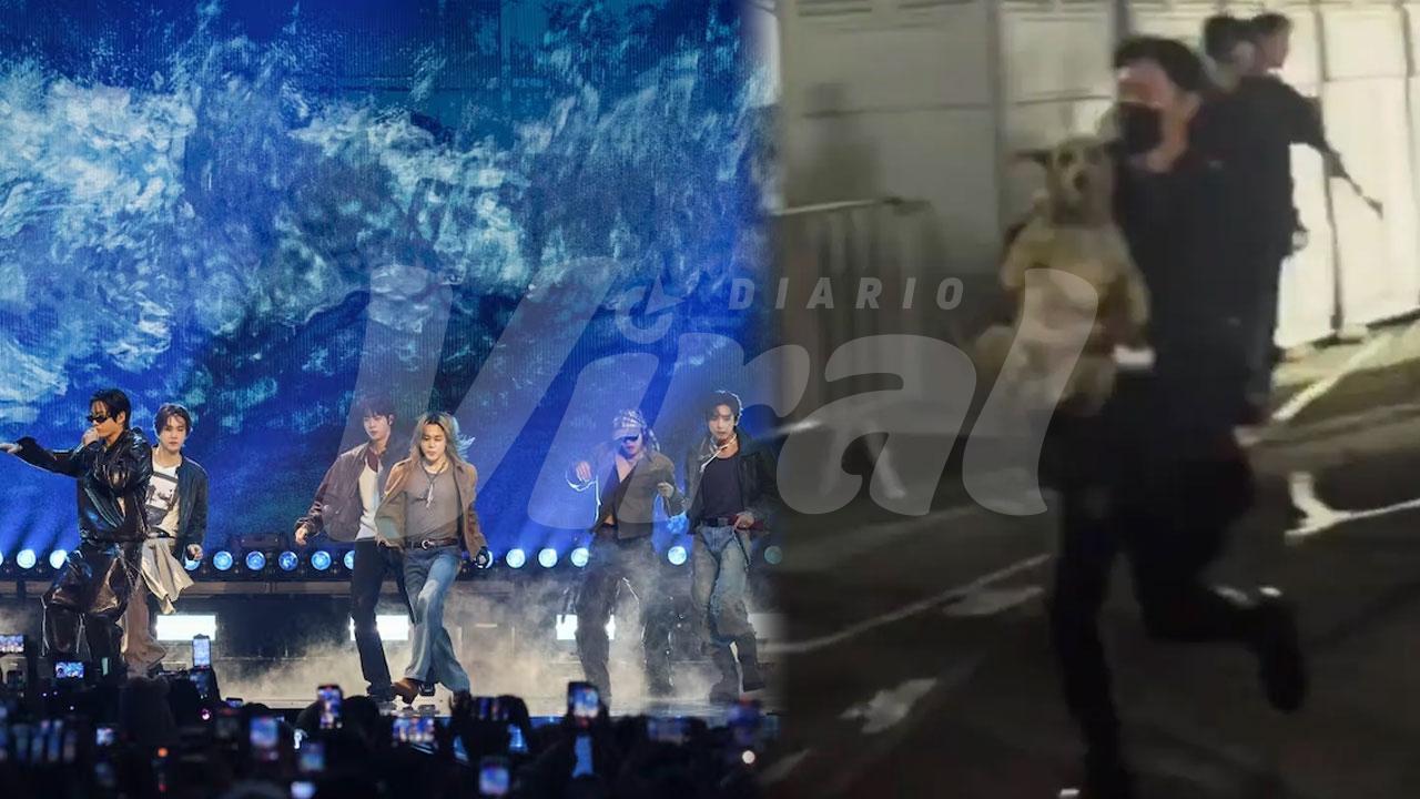 Perrito ARMY se roba el show en concierto de BTS en Perú