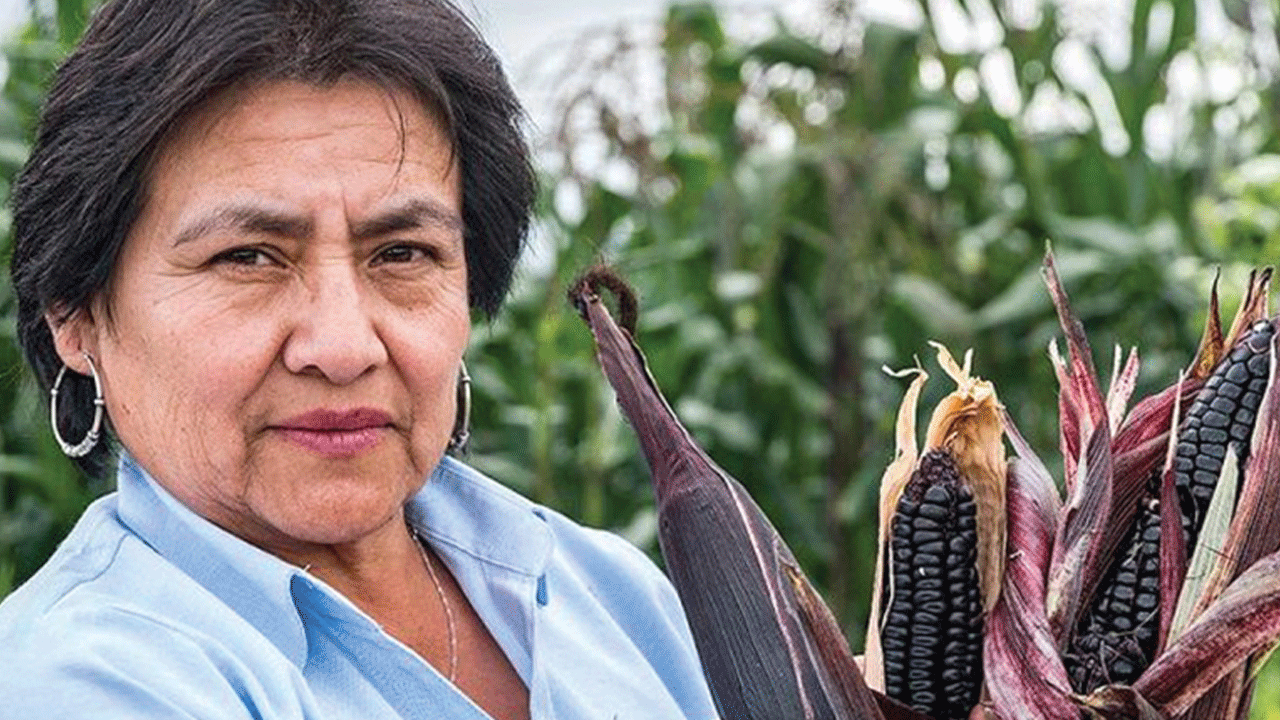 Presentarán platillo en homenaje a Alicia Medina por el Día del Maíz Morado