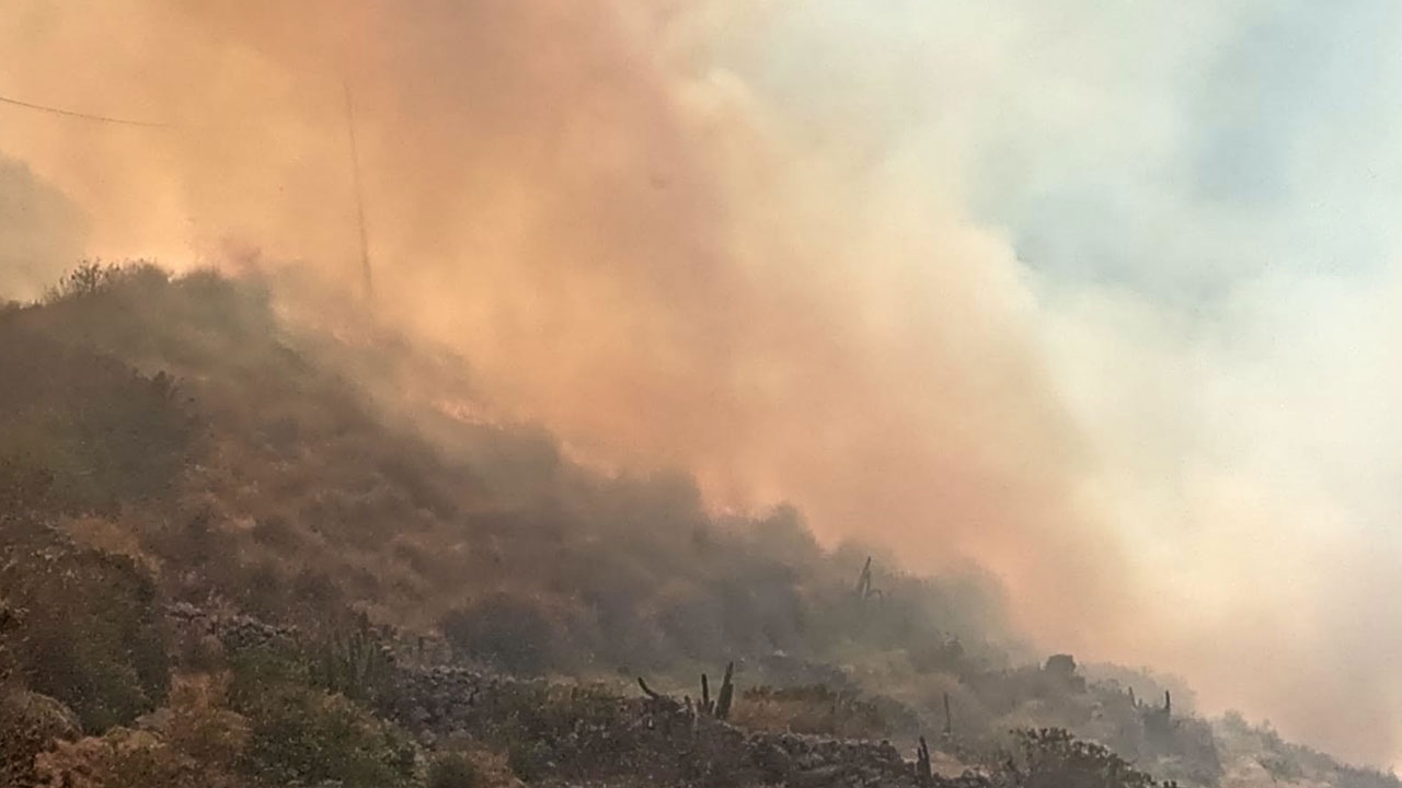 Condesuyos: incendio forestal arrasa 40 hectáreas en Salamanca
