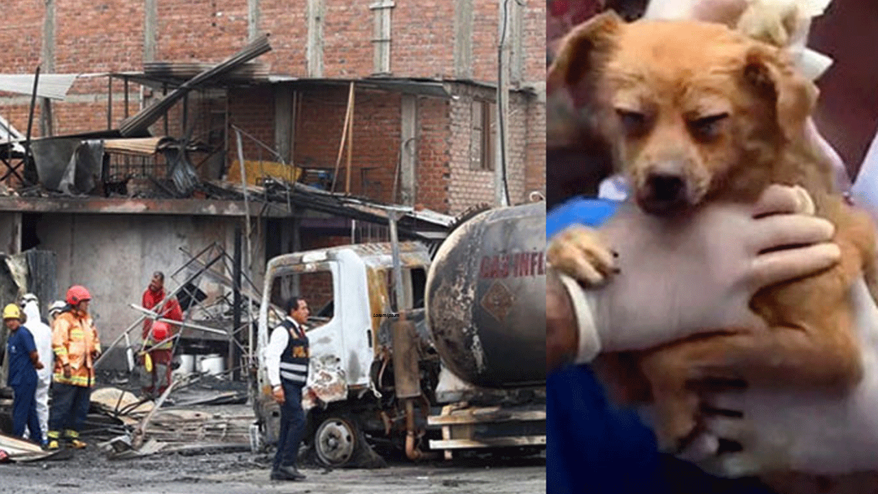 Incendio alarma Villa El Salvador: fuego se desató cerca de albergue de mascotas